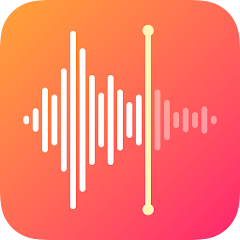 Voice Recorder & Voice Memos Mod